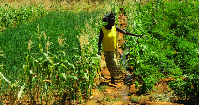 A female farmer from Burkina Faso growing vegetables. 