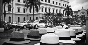 Panama hats in Bella Vista, Panama. Photo source: Dennis Tang (Flickr). Creative Commons.