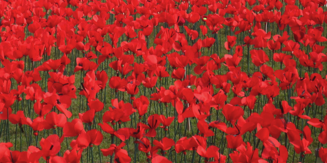 Poppy project in Gosford, 2015. Photo source: Gostalgia (Flickr). Creative Commons. 