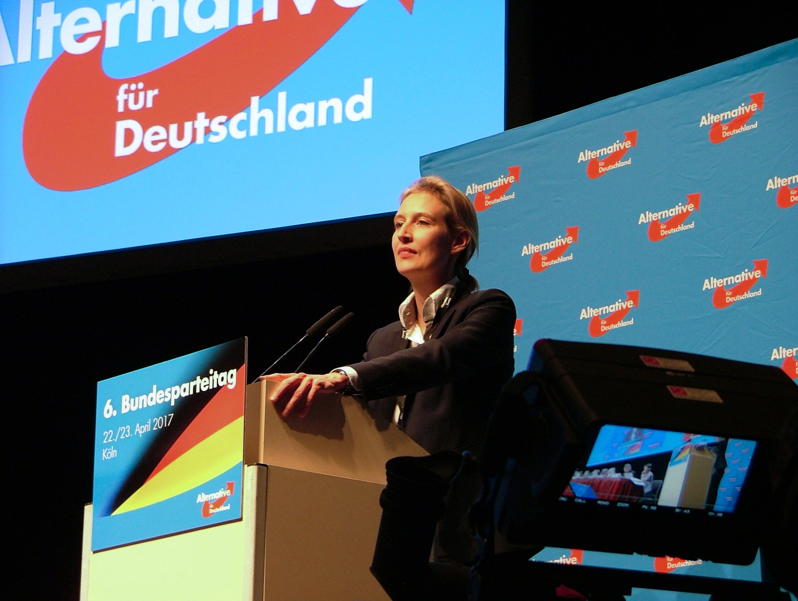 Polarisation and Foreign Policy: Right-Wing Populism is Breaking the Foreign Policy Consensus