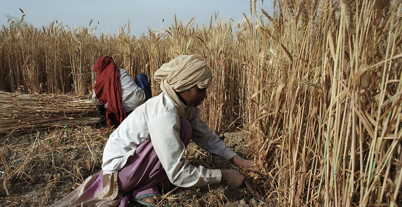 India's rural farmers are likely to play a decisive role in the outcome of the country's elections. Source: World Bank Photo Collection, Flickr, https://bit.ly/1hYHpKw