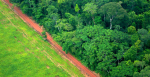 An aerial shot shows the contrast between forest and agricultural landscapes near Rio Branco, Acre, Brazil. Source: Flickr - CIFOR https://creativecommons.org/licenses/by-nc-nd/2.0/legalcode