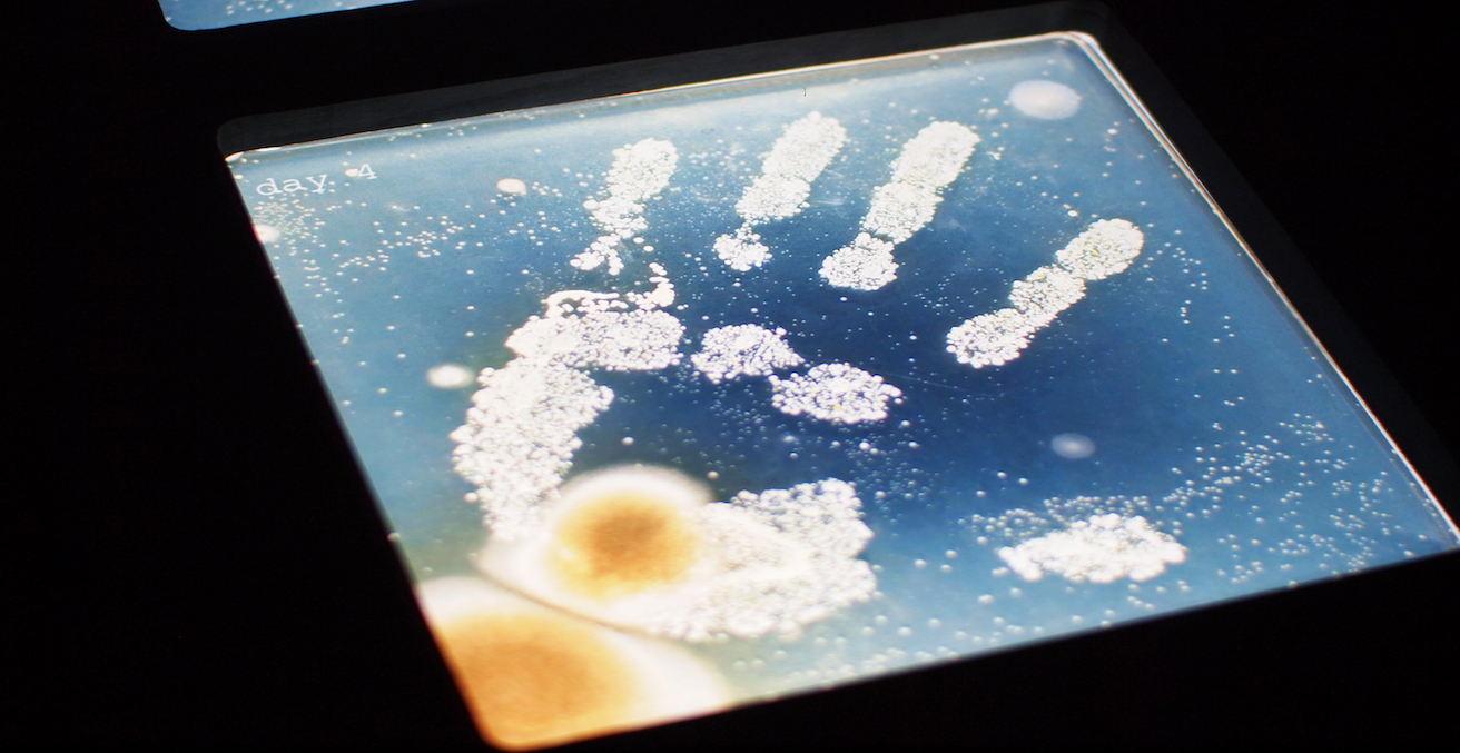 Image of synthetic biology, Source: Ars Electronica, Flickr, https://bit.ly/2mWnR8U