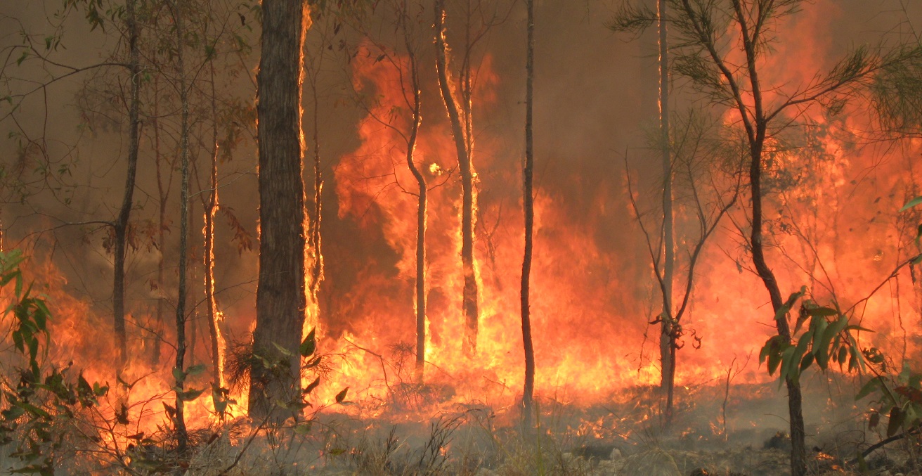 Bush fire at Captain Creek central Queensland, Australia
Photo: https://bit.ly/31Kfy0I
