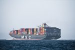 Massive container freight ship MSC TOMOKO PANAMA
Photo: Mike Baird, https://bit.ly/31hE9Kd
