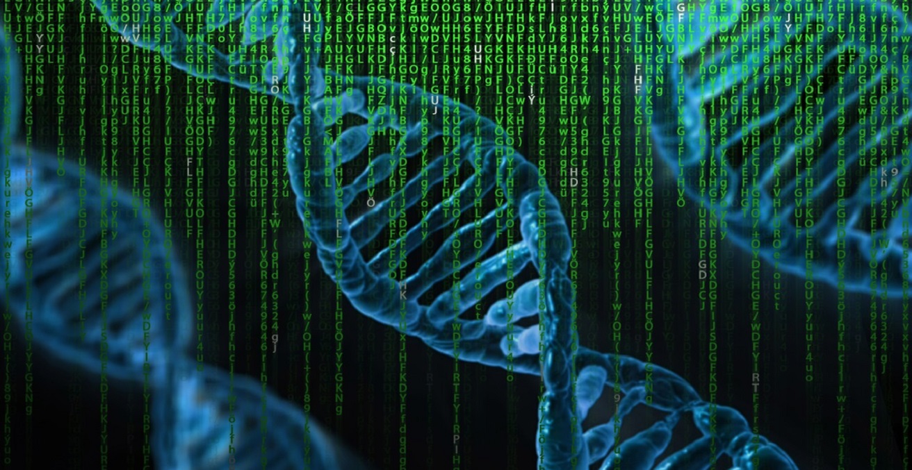 Deoxyribonucleic acid or DNA 
Source: https://bit.ly/3hgG6fJ