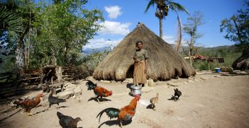 Batista Dos Santos stands in front of her traditional home, surrounded by roosters, in Bertakefe, Timor-Leste. Source: UN Photo/Martine Perret. https://bit.ly/3xcrPJ7