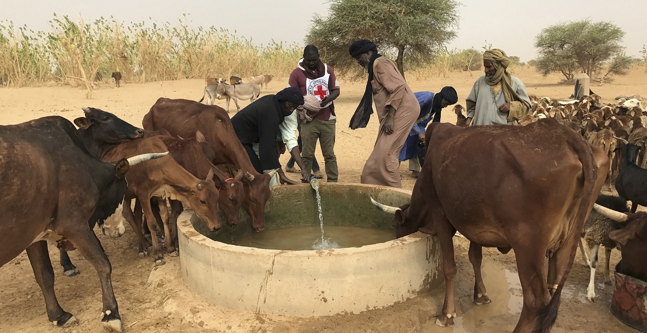Kidal. Thanks to this drilling, the shepherds can water their herds without travelling several kilometers. The ICRC continues its efforts in the region to facilitate access to water for vulnerable communities and their animals. Photo supplied by the ICRC.