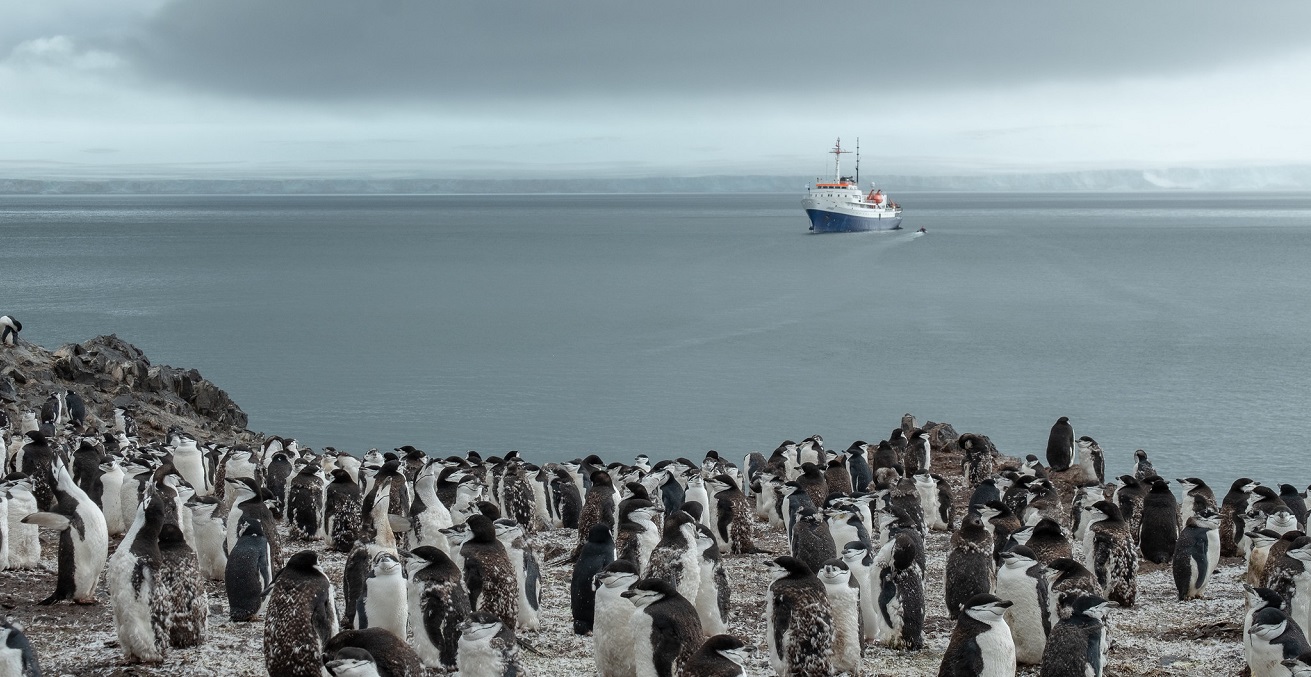 Penguins on the Antarctic Peninsula. Source: Daniel Enchev https://bit.ly/3QRTuJY