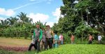 Participatory Action Research to Community-Based Business Model Development in Selected Integrated Forest and Farming System Villages. Source: CIFOR / https://t.ly/v2Afu