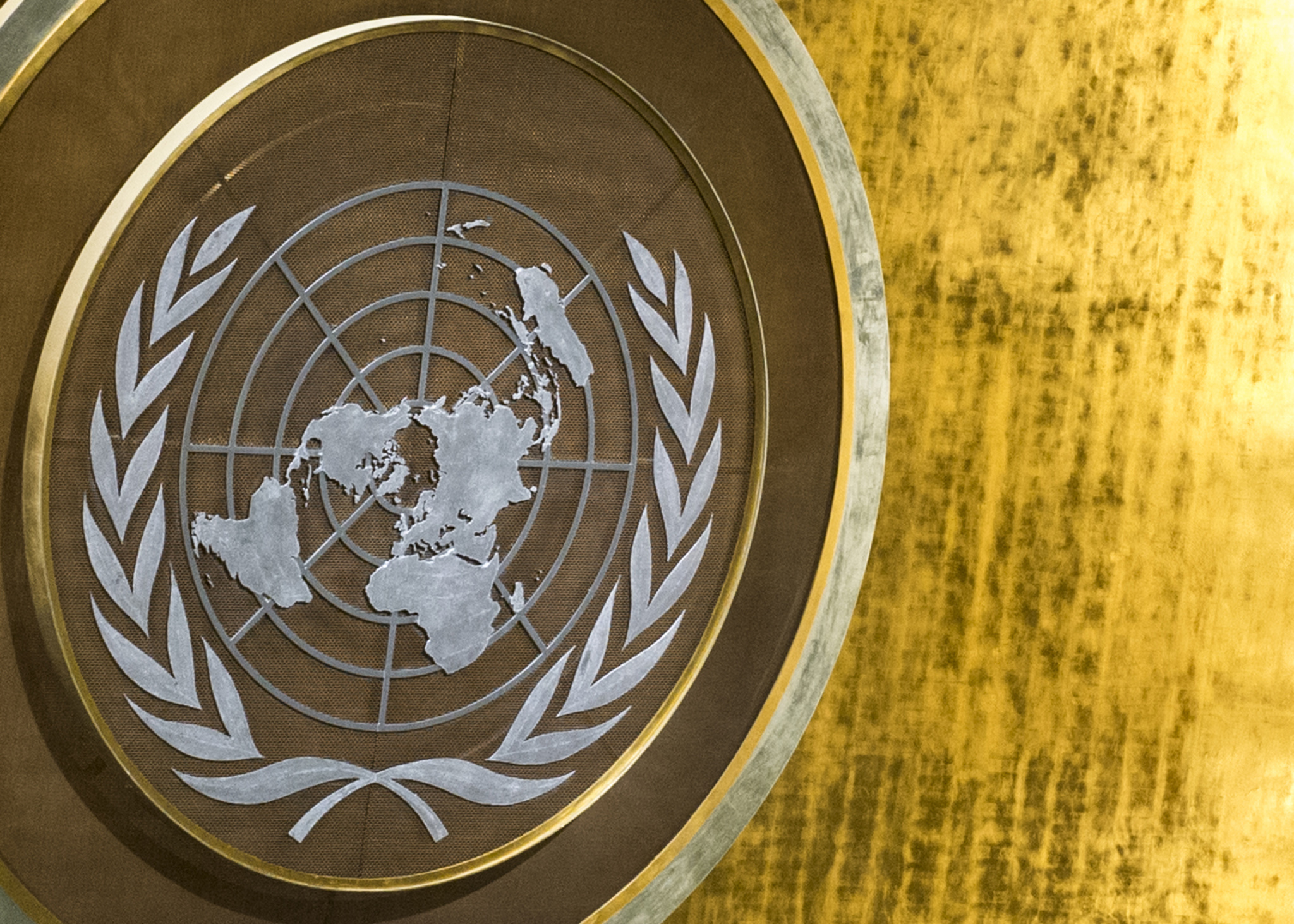 If Australia Wins a Security Council Seat, It Will Have to Vote