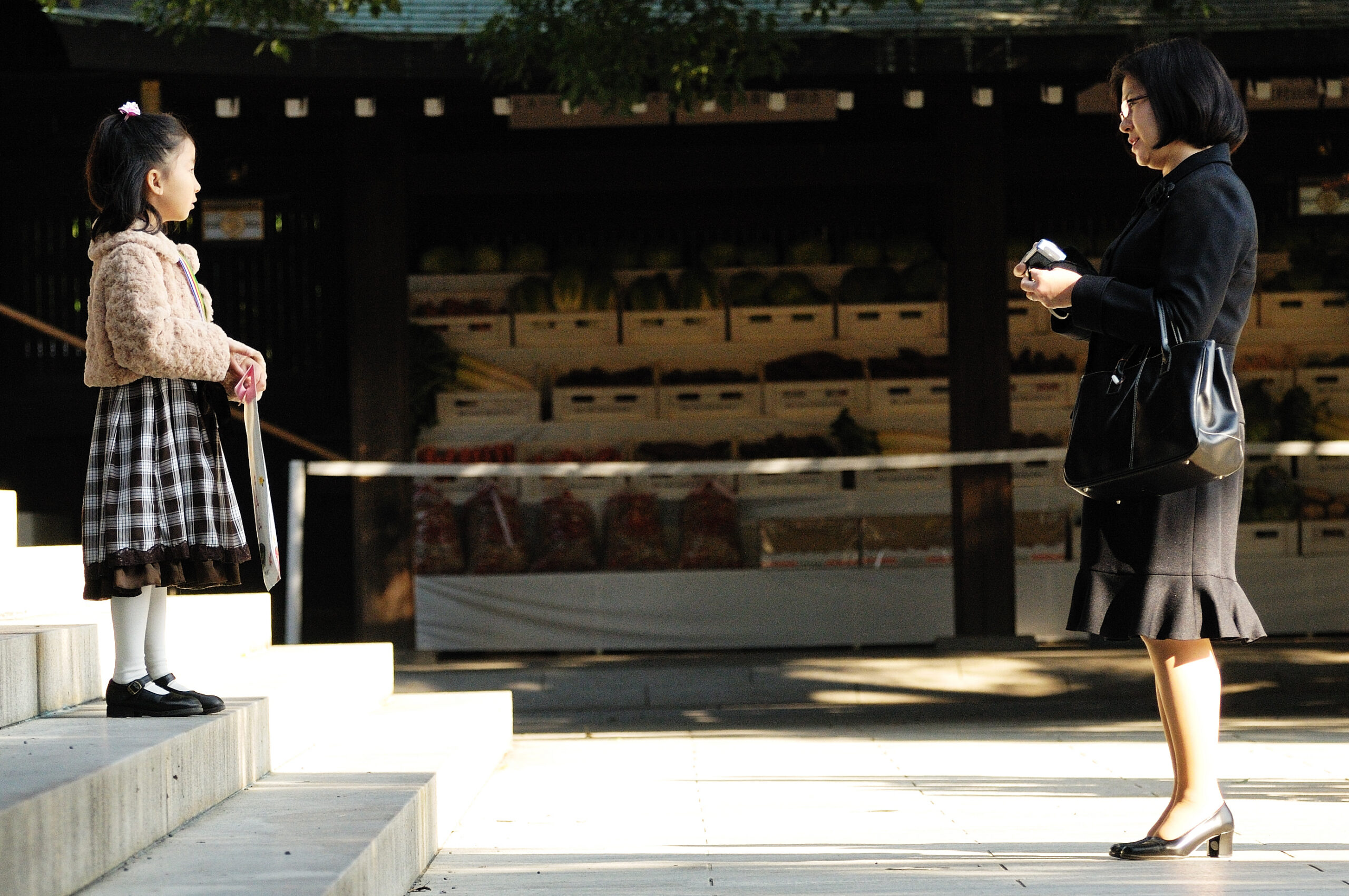 Available, But Not Suitable: Testing Pathways After Japan’s Family Law Reforms