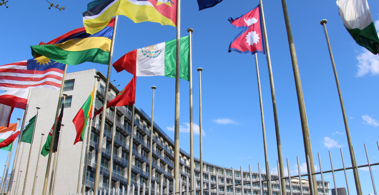 UNESCO’s Failure to Confront Conflict