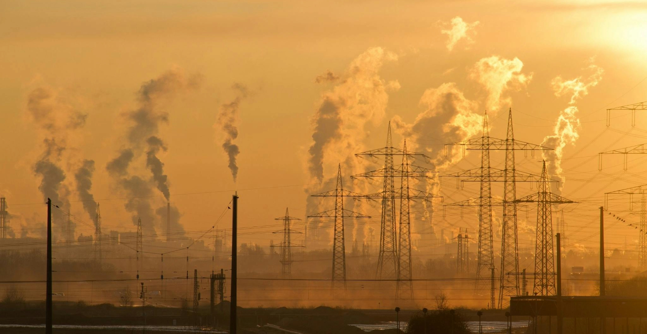 The Elephant in the Climate Room: The Shyness on Talking About Population