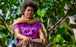 The politics of safety: regulating gender violence in the Pacific Islands