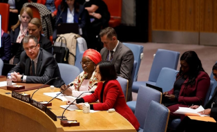 Women Shaping the Future of International Security Roundtable