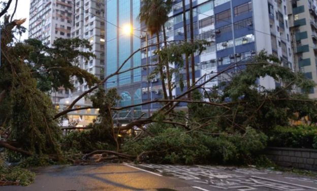 ‘Sirens in Diplomacy’ A Crisis Management Workshop