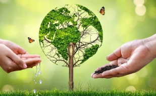 Australia’s Climate Governance and Environmental Stewardship: States to Global Frameworks.