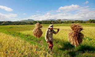 From Cailaco to Command Responsibility: Identifying Those Most Responsible for Crimes Against Humanity in East Timor