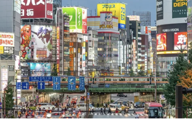The Australia-Japan Networking Night: Careers & Connections