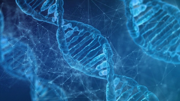 From Algorithm to Biology: Australia’s Choice at the AI Frontier