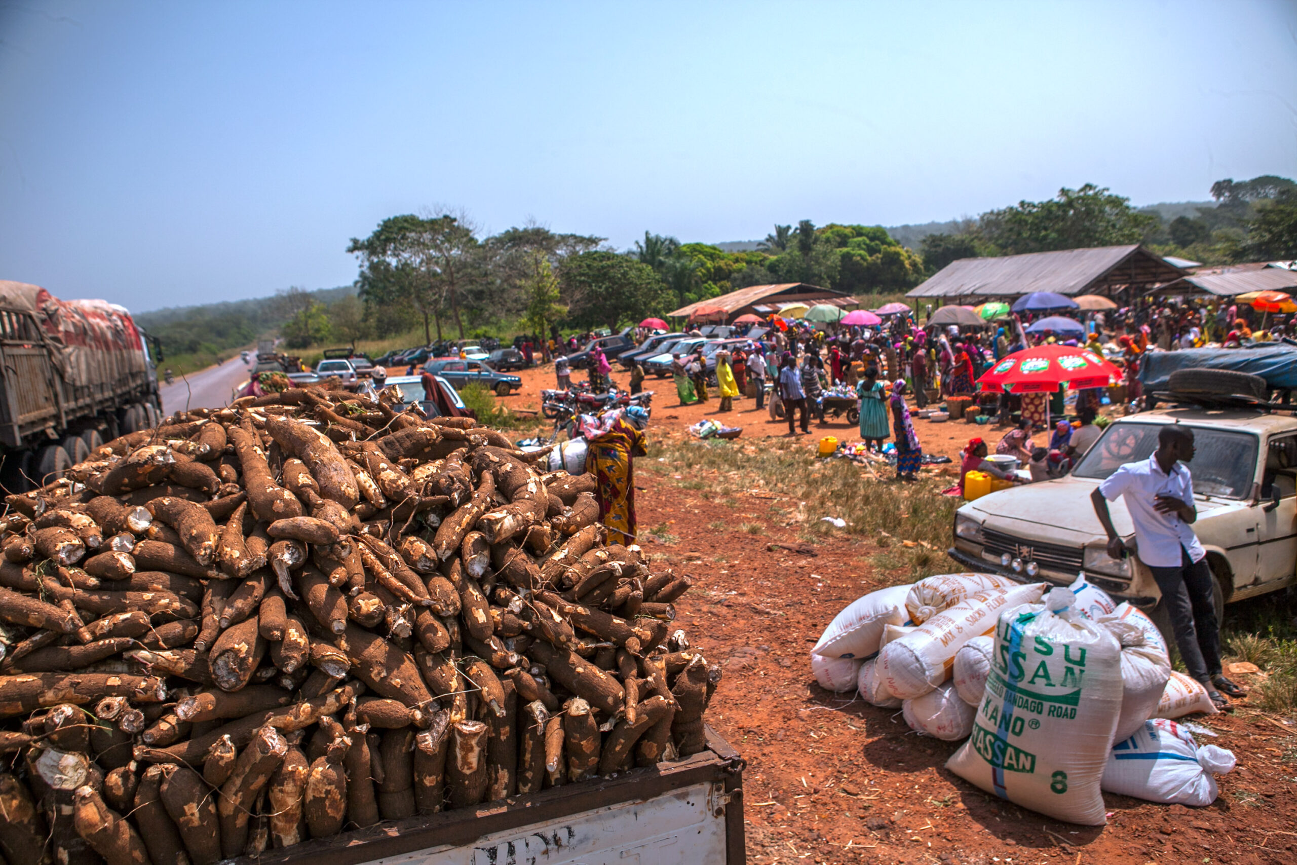 Beyond Aid: Local Solutions to Nigeria’s Hunger Crisis
