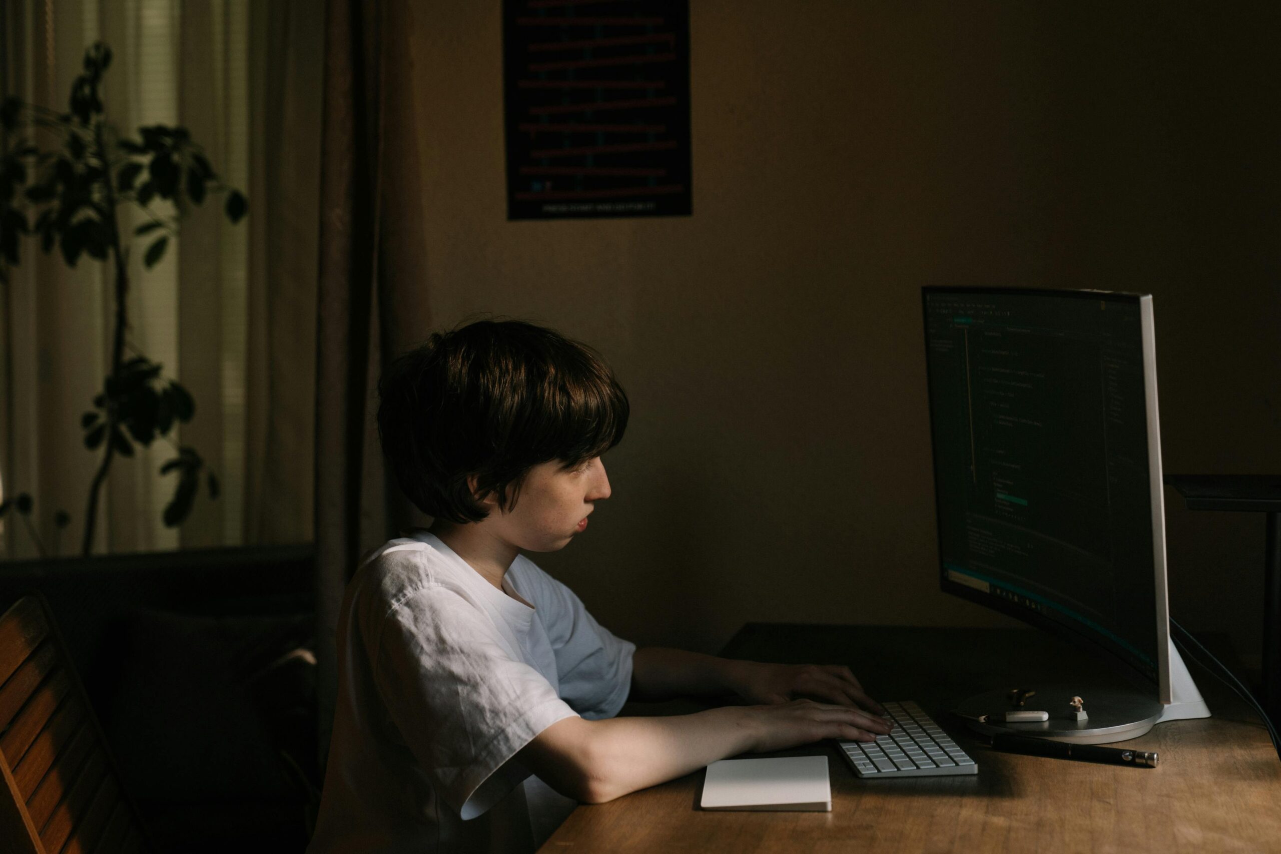 Platforms of Extremism: Why Australia Must Confront Digital Misogyny as a Security Threat